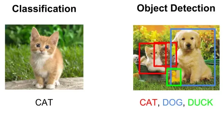 projectImage